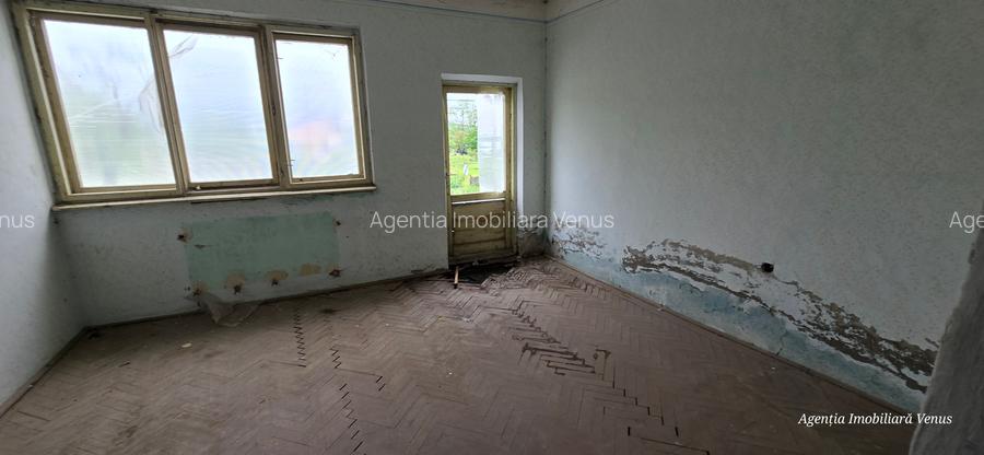 Constructii la strada in Cucorani pe 1 ha de teren - 15