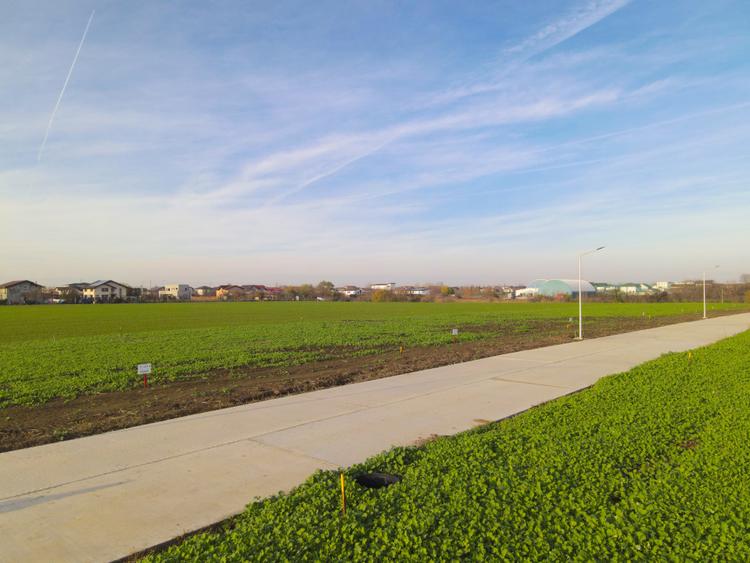Lot 608mp In Rate Com Berceni | utilitati: curent gaz asfalt | #SG1
