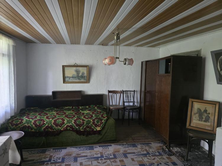 Casa batraneasca ,gradina cu vie si livada, fara agentie