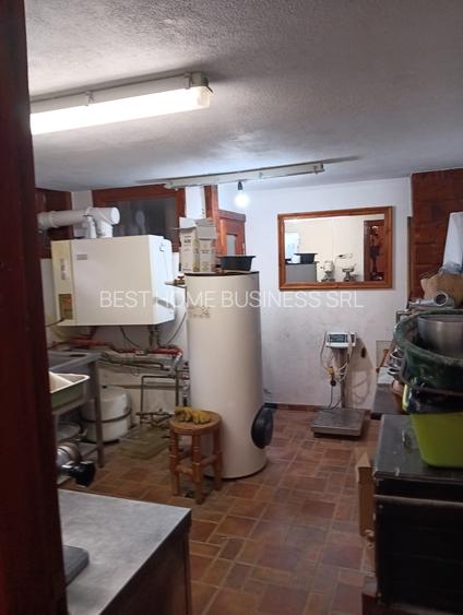 Vila rezidentiala/ de vacanta/investitie/ Cornu de Jos - 8