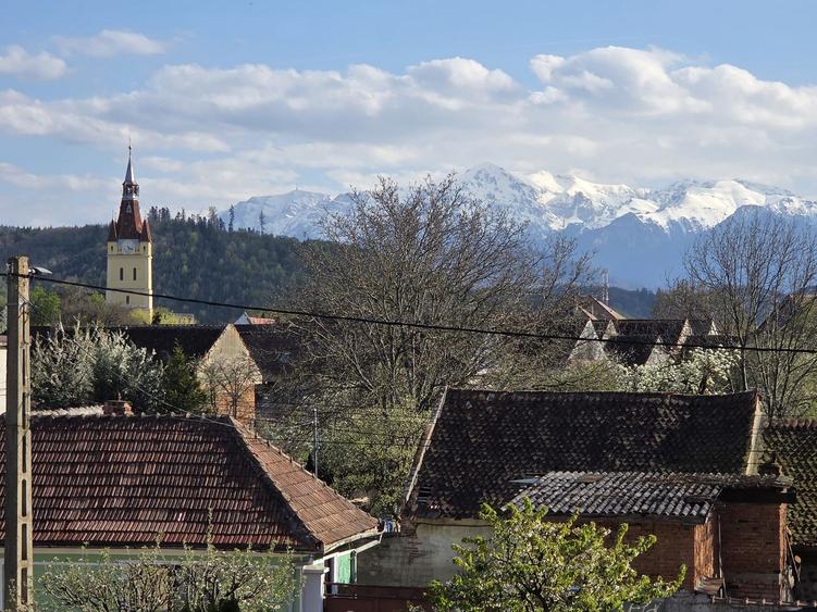 Vilă 9 camere Cristian | Terasă Bucegi | Ideal investiție