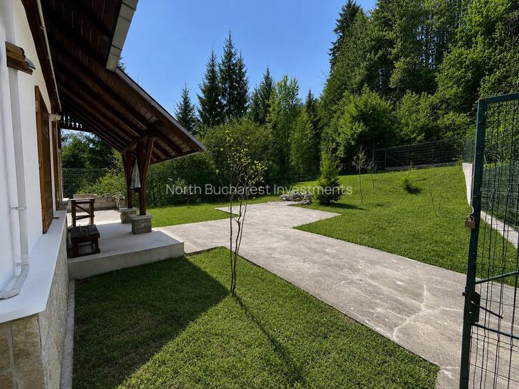 CABANA IN ZONA SINAIA - TEREN 550MP - 5