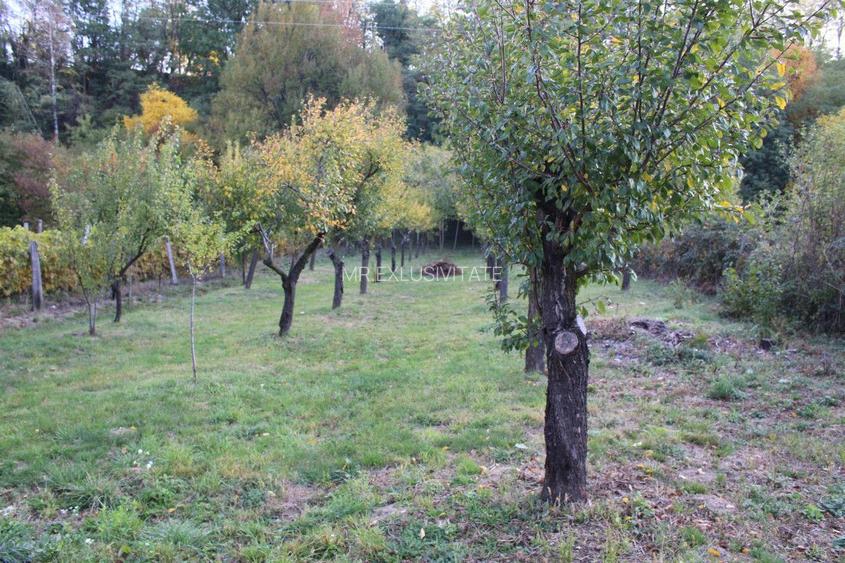 Casă cu suflet și priveliște de poveste – Crasna, Gorj - 33