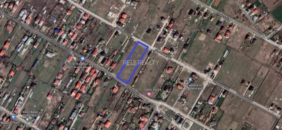 Inchiriere teren intravilan Cornetu / zona str. Trandafirilor, 4.500 mp, D: 31 m - 3