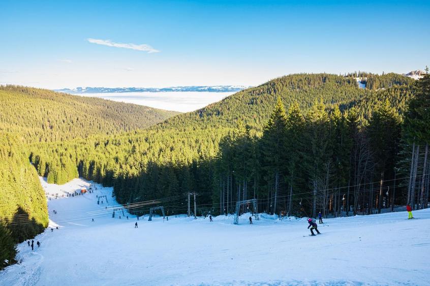 Casă montană cu 3.000 mp teren | Dorna Arini – lângă Vatra Dornei