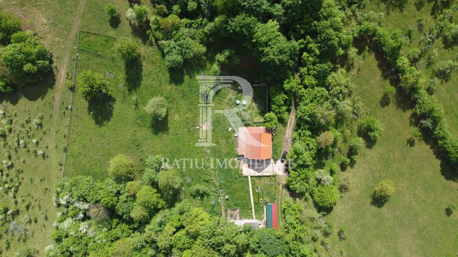 Proprietate Unică în Natură | Teren Mare | Intimitate Totală