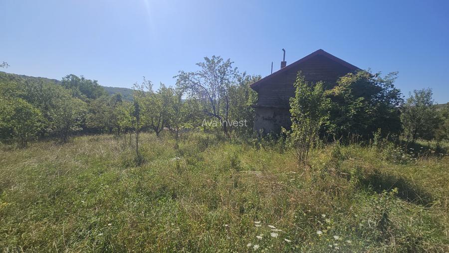 Proprietate cu potențial turistic în sat Pietroasa, com. Moldovenești, jud. Cluj - 4