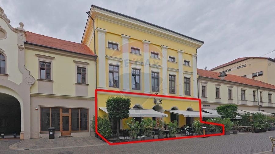 De vânzare — Spațiu comercial parter 409 mp, Vasile Alecsandri