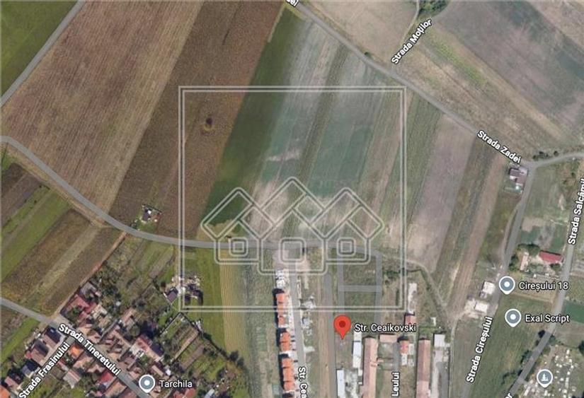 Teren de vanzare - intravilan 5000 mp - cartier Gusterita