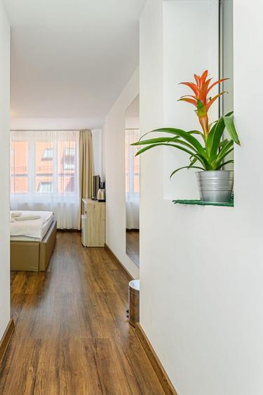 Pensiune 650 m2 , Str Castelului