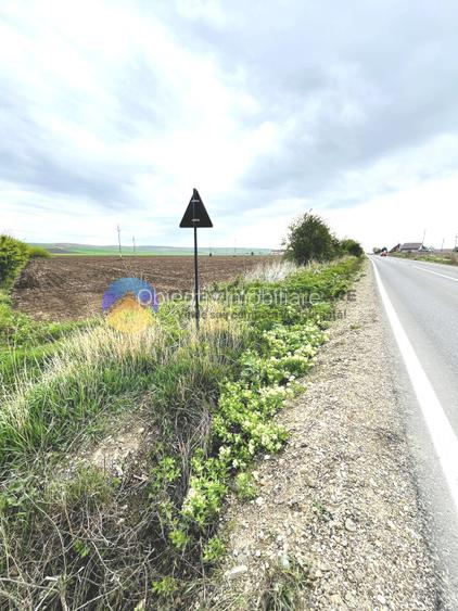 TEREN intravilan 4500 mp  PIATRA NEAMT  strada Izvoare - 6