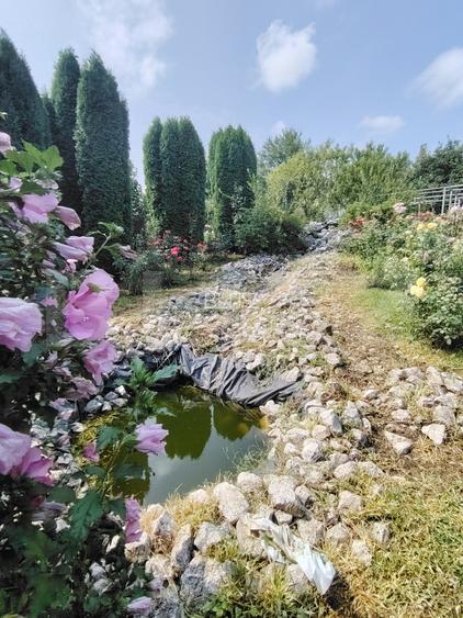 Casă cu mobilier premium și grădină spectaculoasă in Tarnaveni - 3