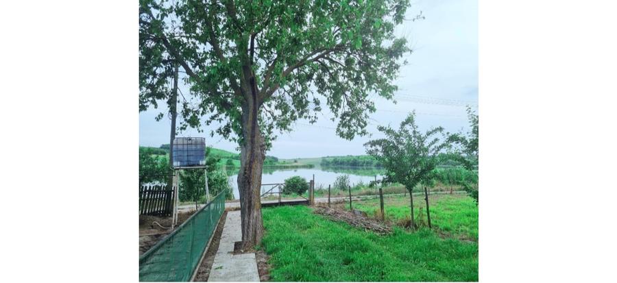Colt de rai refugiul tău verde în inima naturii