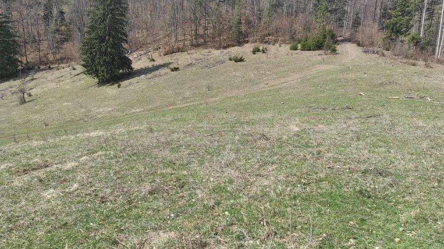Proprietar: 22.200 mp intravilan Lepșa, panoramă munte și Valea Putnei
