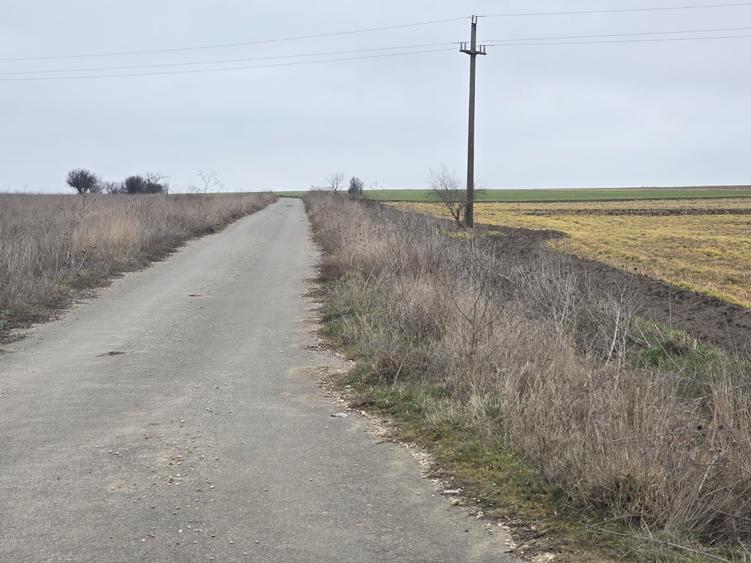 Teren de vanzare in Tuzla zona lac sarat Techirghiol