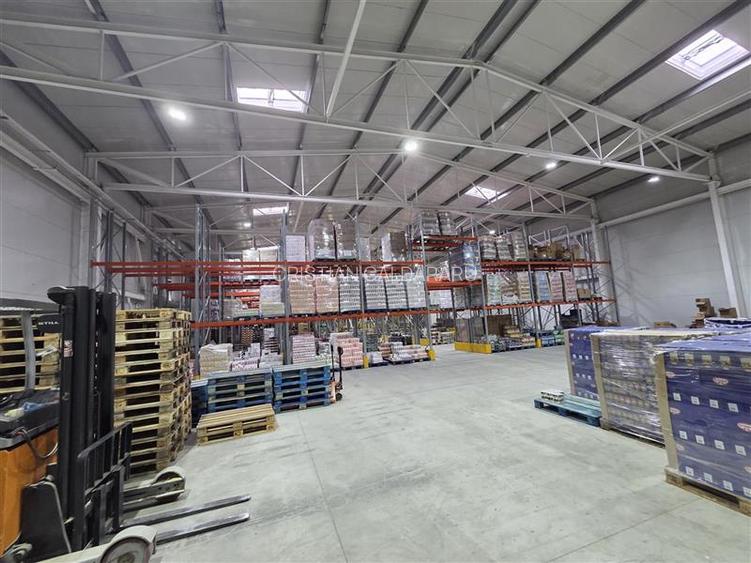 Vanzare depozit/hala/spatiu industrial Otopeni - Centura, Ilfov - 34