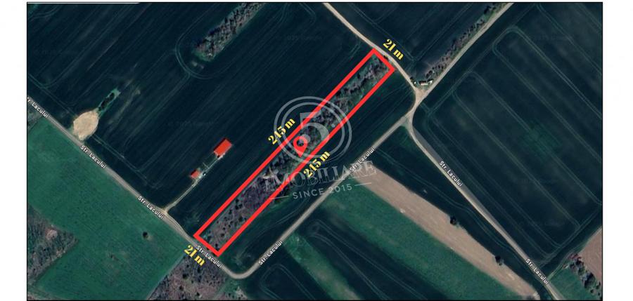 Teren intravilan, Cornetu, Ilfov – 5.590 mp