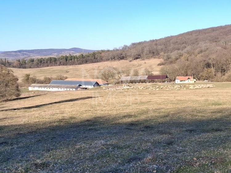 Ferma complet echipata de vanzare – zona Agnita, judetul Sibiu