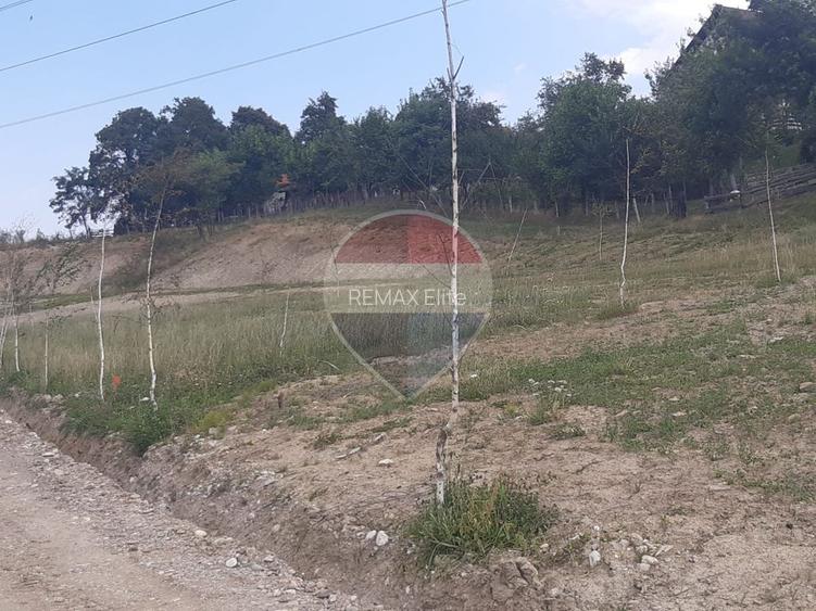 Teren 1,000mp Sohodol, cu utilitati / Strada Sohodol - 15