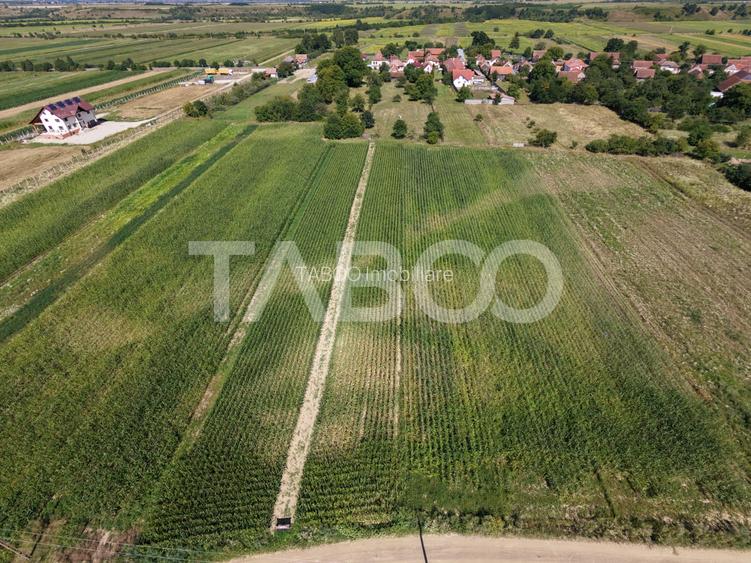 Teren intravilan 2000 mp si extravilan 1150 mp de vanzare in Vad - 3