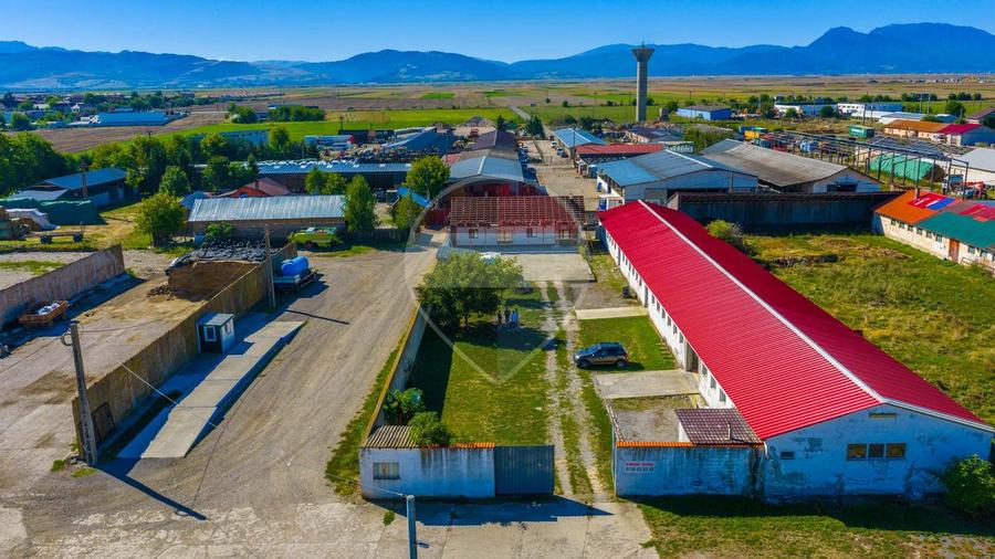 Hala de vanzare si casa pe acelasi teren- Comision 0%- Prejmer