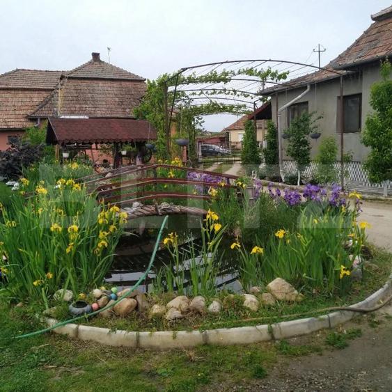 Casa 6 camere, 250 mp, zona Luncani
