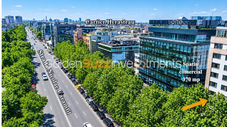 Spațiu comercial premium de inchiriat parter –370 mp utili | Herăstrău - 2