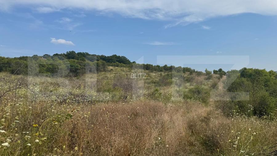 Teren de vanzare extravilan 10819 mp, zona La Soare - 5