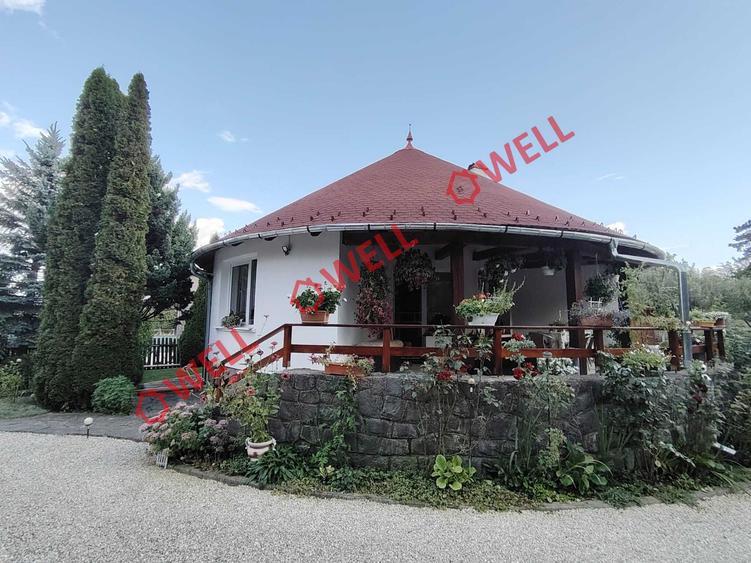 Casă unică de vânzare în Valea Crișului!