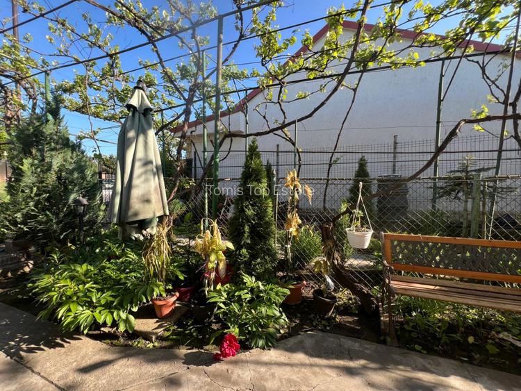 PROPRIETATE 250MP TEREN + CASA 101MP I KM 5 I OPORTUNITATE INVESTITIE - 7