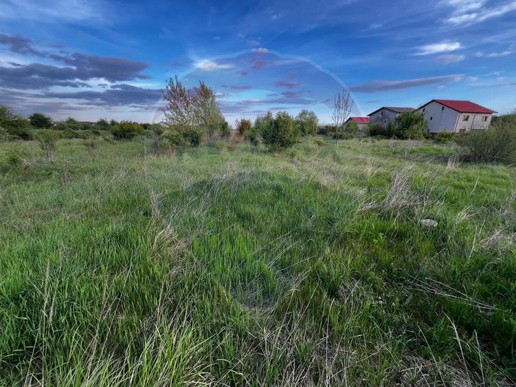 De vanzare | Teren intravilan 525mp in Teghes, comuna Domnesti, Ilfov
