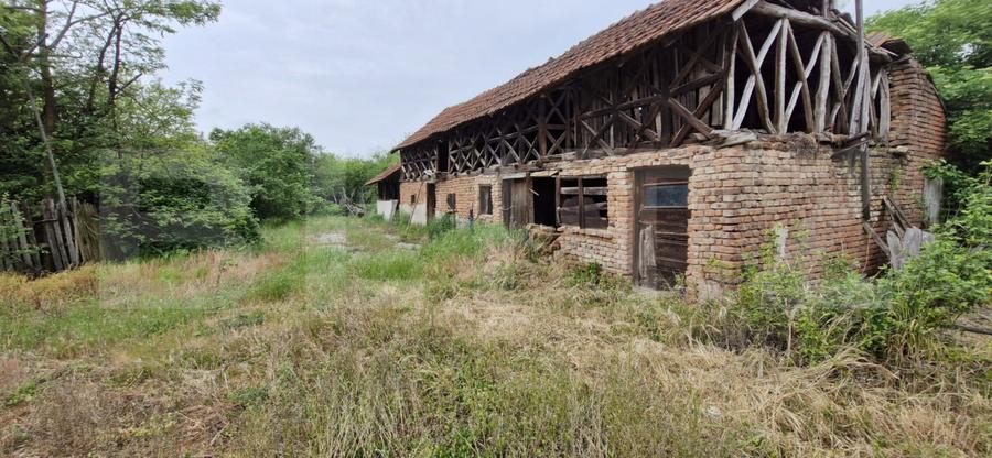 Domeniu polivalent, ideal pentru 2 familii / afacere, 300 mp, zona Sud