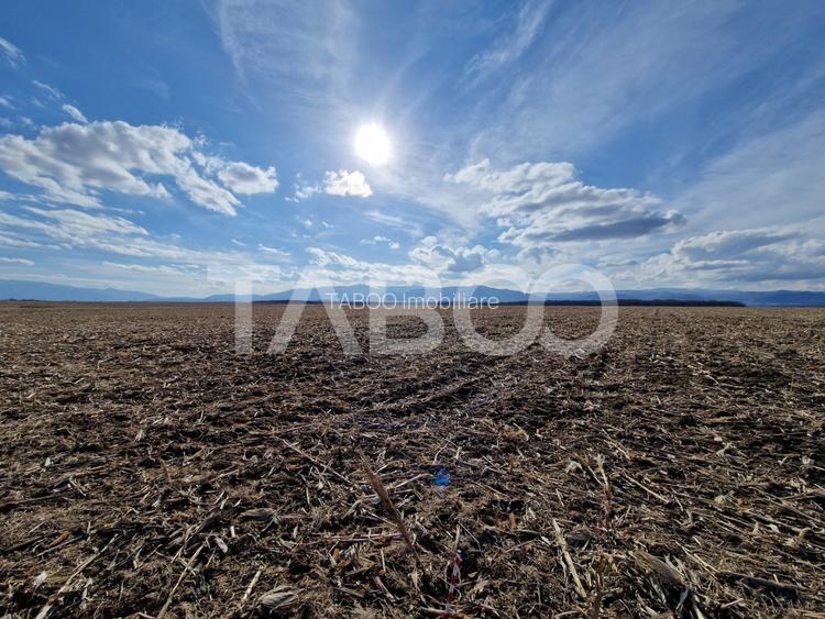 Terenarabil arabil de vanzare 5950mp extravilan zona Sopa  Selimbar - 4