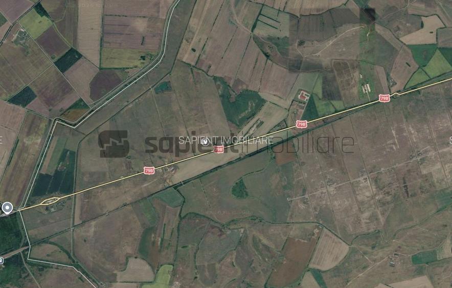 De vânzare teren extravilan, 11,600 mp, Salonta - 2
