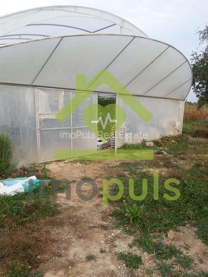 🗺️ Teren intravilan in Jupani (Timis), 10,19 Euro/mp.✨ - 6
