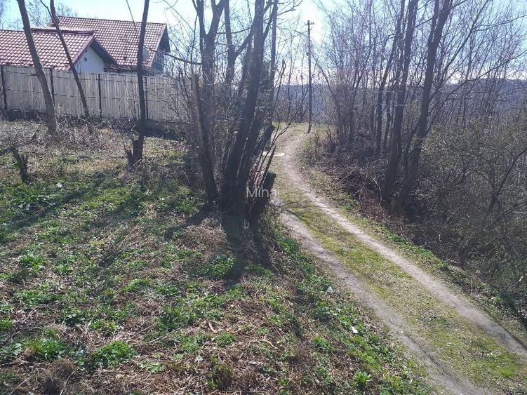 Oportunitate investie teren cu proiect 650 mp Cornu de Sus - 7