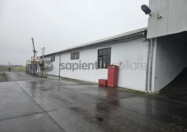 Proprietate industrială  Platformă logistică de vânzare în Tinca