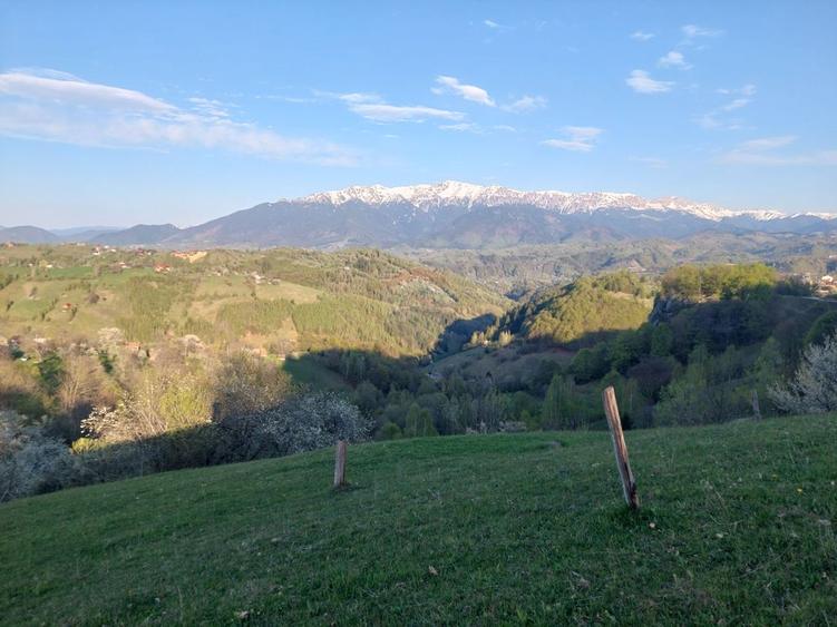 Teren 3,618mp Pestera / Strada Principala
