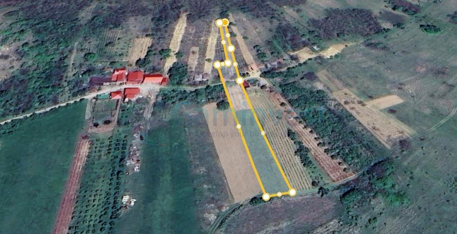 Teren de vanzare in Uileacul de Cris, 2000 mp extravilan, Bihor