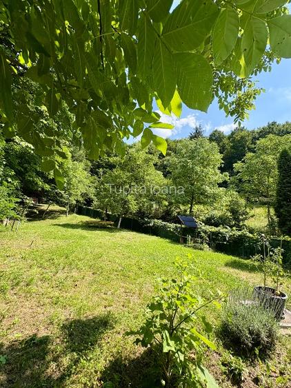 Casă în Pădure pe Valea Borcutului – 5 min de oraș | Direct Proprietar - 9