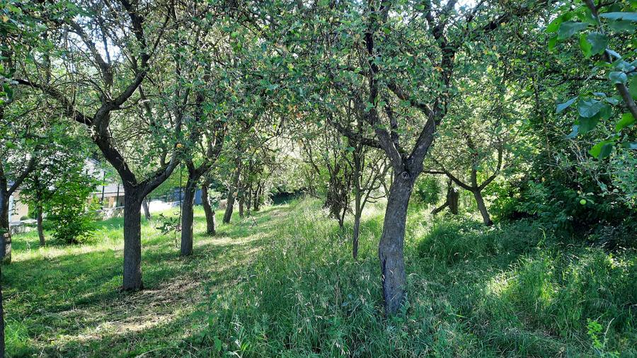 Vand teren intravilan cu toate utilitatile in zona Platou-Cornesti