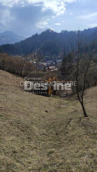 Teren 5000 mp, ideal cabana, pensiune,  in zona de interes  turistic  Rucar-Bran - 5