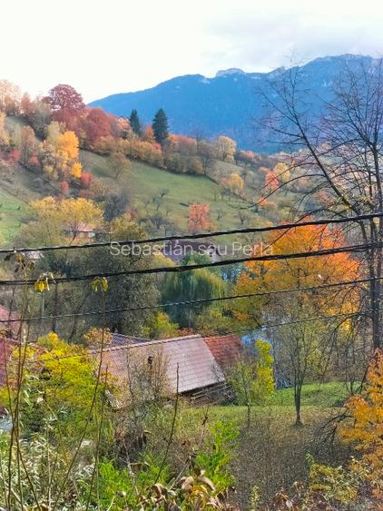 Oportunitate.Casă de locuit/casă de vacanță Bran Poarta