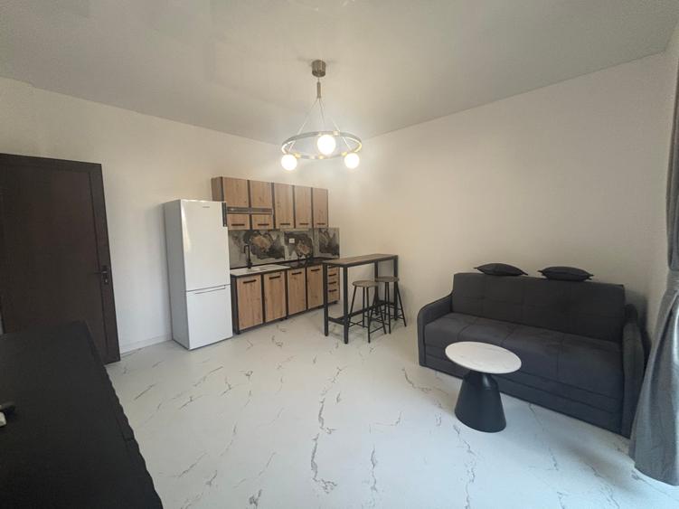 Inchiriere apartament 2 camere cu vedere in Parcul Cismigiu