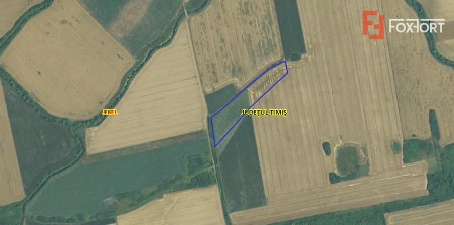 Teren agricol extravilan de vanzare, 2,69 hectare - Jebel Timis