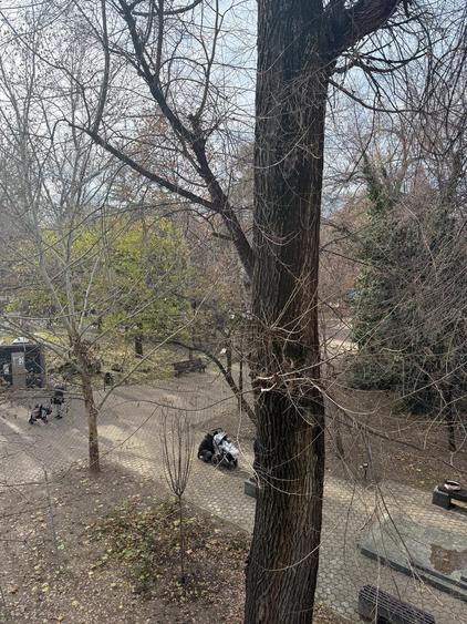 Vila Ion Voicu de vanzare - partial - etaj 1 si mansarda - Parcul Ioanid