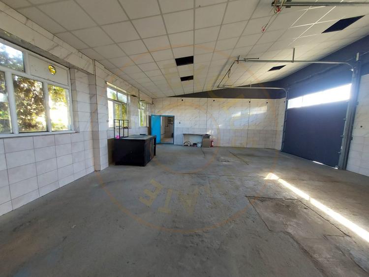 De închiriat: Hale si locuință pe 3 000 mp/ Bascov - Argeș