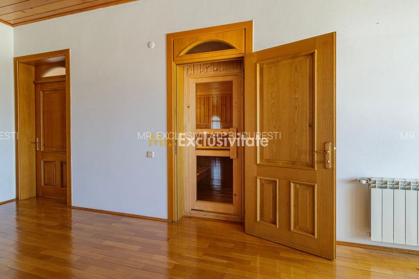 Domeniu privat 5.000 mp, cu reședință de 625 mp și piscină, Corbeanca - 16