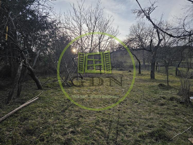 Casa de vacanta + anexe + 1000 mp gradina