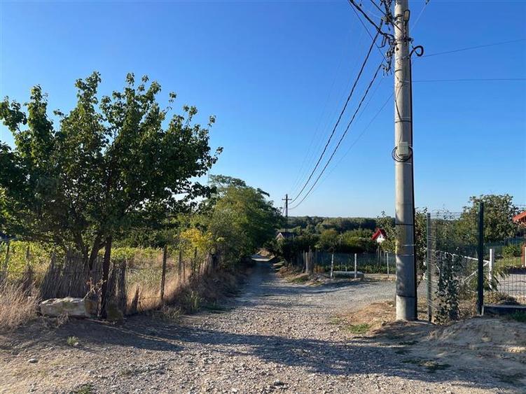 Teren intravilan de vanzare in localitatea Nufaru